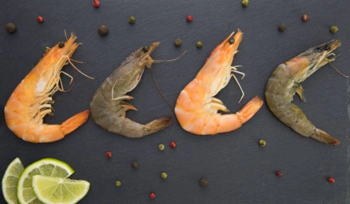 Get Hooked on These QnA Jokes & Puns About Shrimp