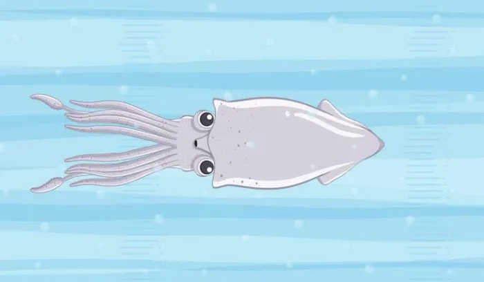 Stingray Puns