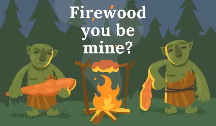 Campfire Puns