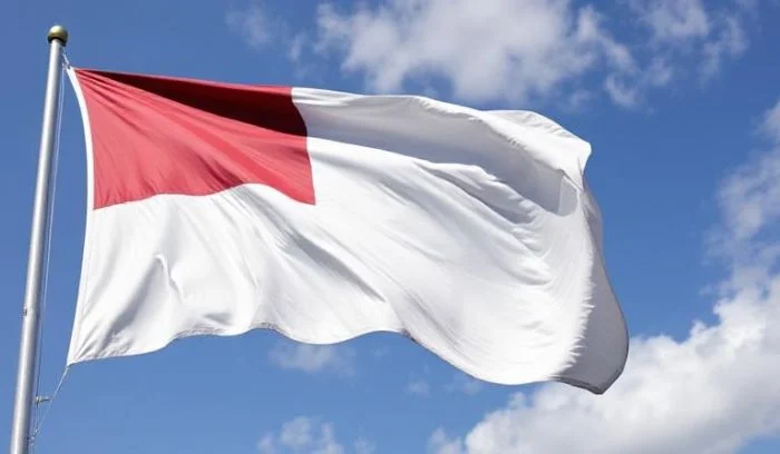Flag Puns