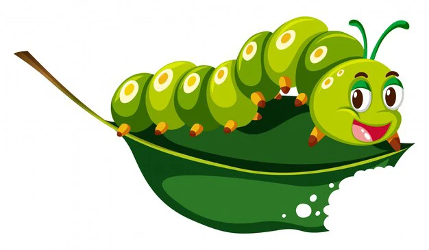 Wrap Yourself in These Rib-Tickling Caterpillar Concoctions!