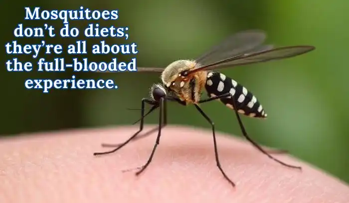 Mosquito Puns
