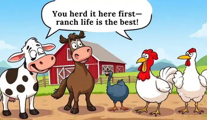 Ranch Puns